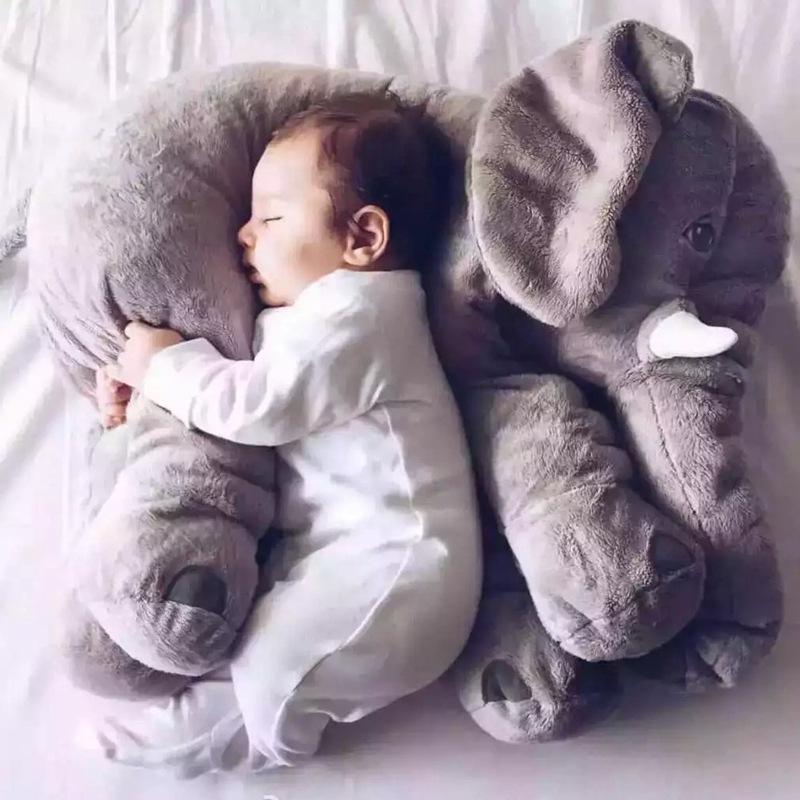 Pets Kids & Hobbies