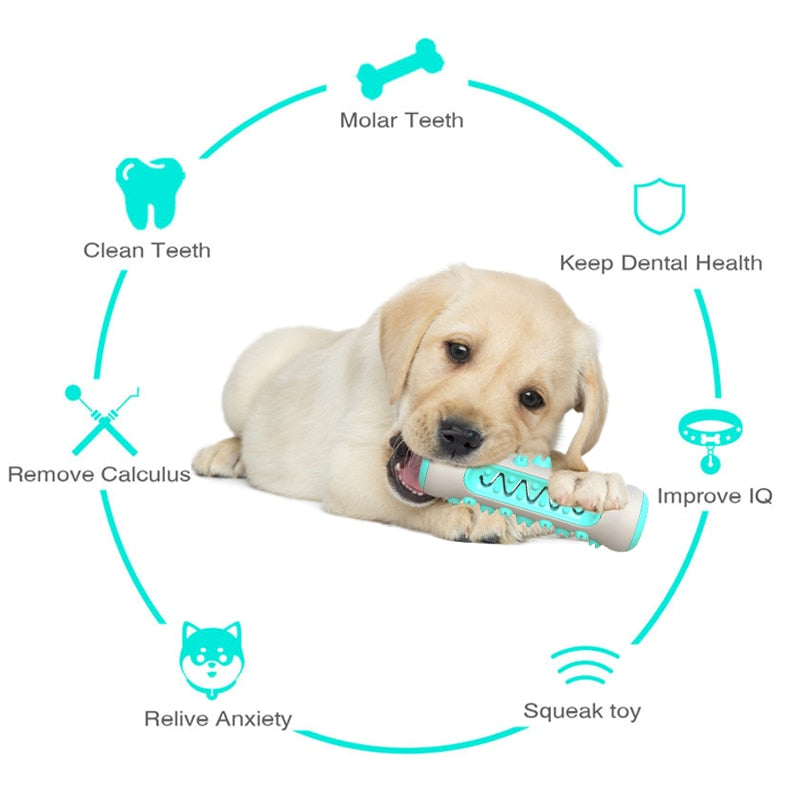 DentaPlay™ Smart & Interactive Dental Care Toy for Dogs