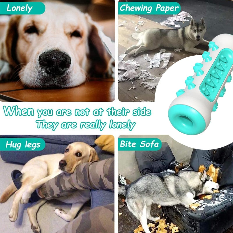 DentaPlay™ Smart & Interactive Dental Care Toy for Dogs