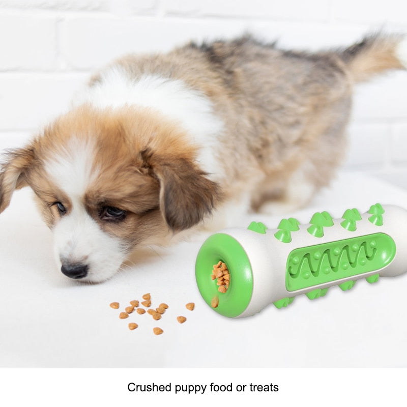 DentaPlay™ Smart & Interactive Dental Care Toy for Dogs
