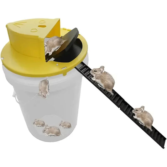 CleanCatch No-Touch Humane Flip Lid + Ramp Bucket Mouse Trap