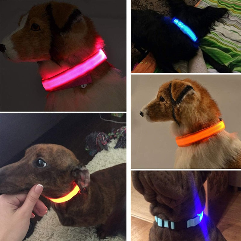 LED Glowing Rechargeable Waterproof Dog Safety Collar