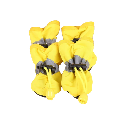 44421650317556|44421650514164|44421650710772|44421650907380|44421651103988|44421651300596|44421651497204