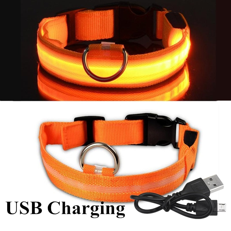 LED Glowing Rechargeable Waterproof Dog Safety Collar