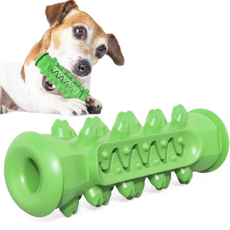 DentaPlay™ Smart & Interactive Dental Care Toy for Dogs