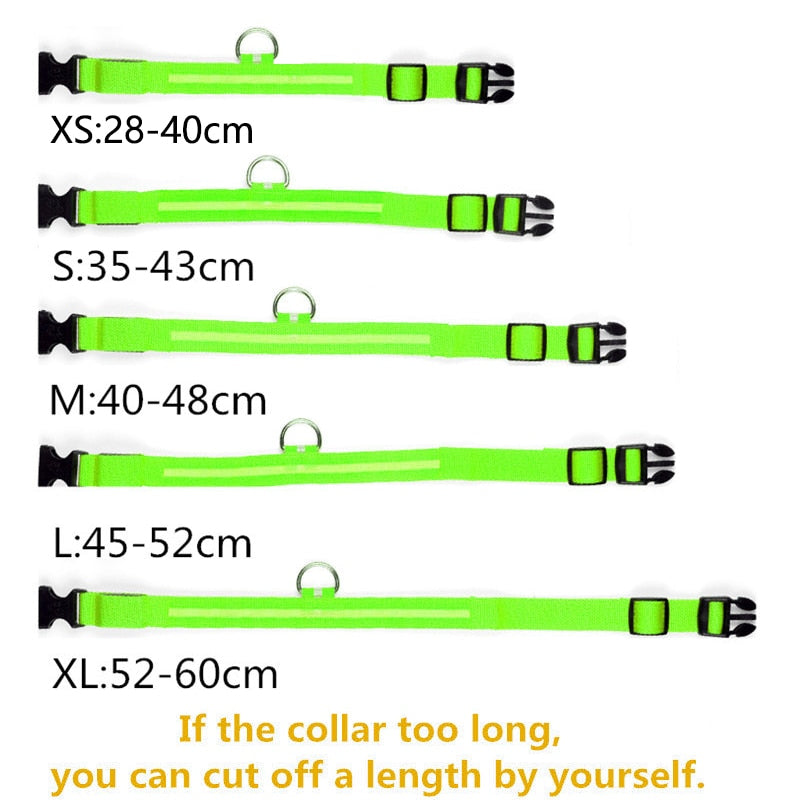 LED Glowing Rechargeable Waterproof Dog Safety Collar