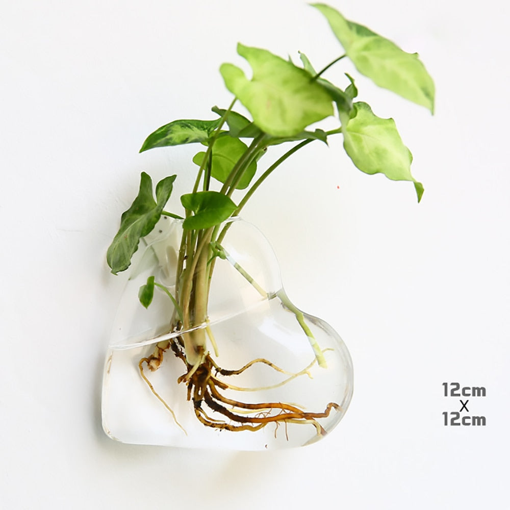 Wall Hanging Aquarium Pot Decoration