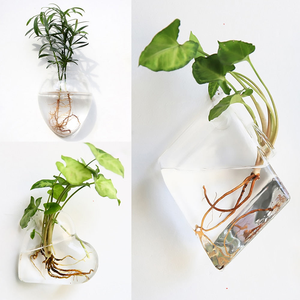 Wall Hanging Aquarium Pot Decoration