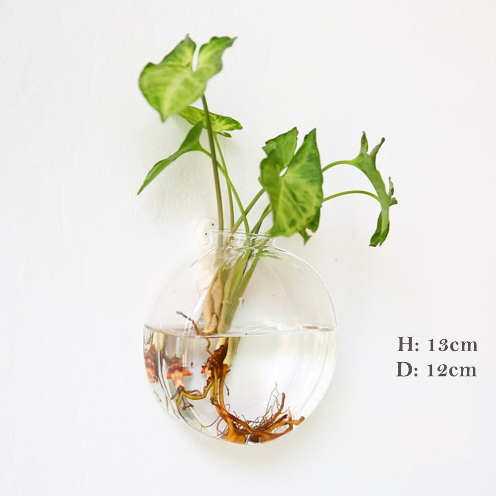 Wall Hanging Aquarium Pot Decoration