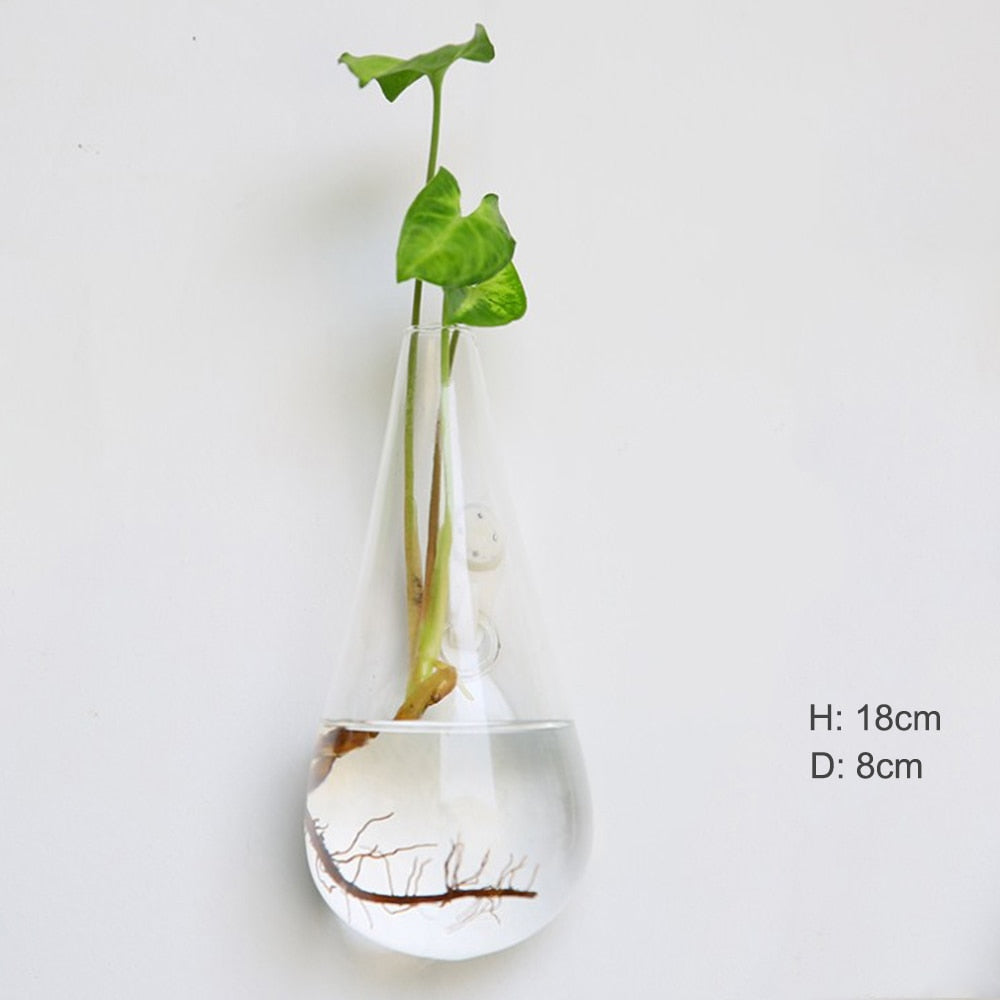 Wall Hanging Aquarium Pot Decoration