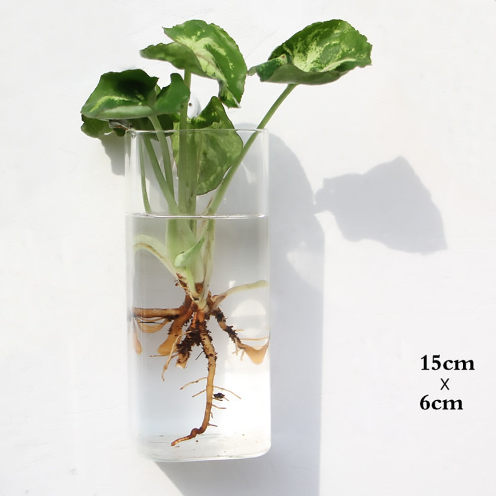 Wall Hanging Aquarium Pot Decoration