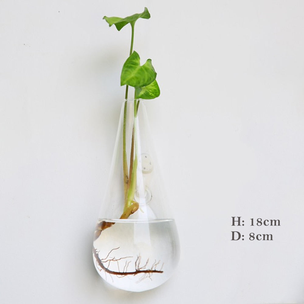 Wall Hanging Aquarium Pot Decoration