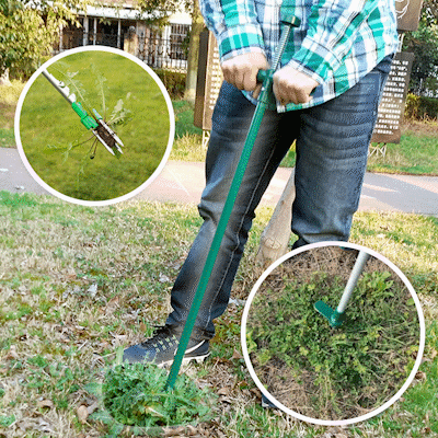 Long Handle Stand Up Garden Weed Remover