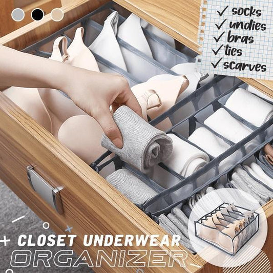ClosetKing™ Underwear & Socks Storage Organizer Set