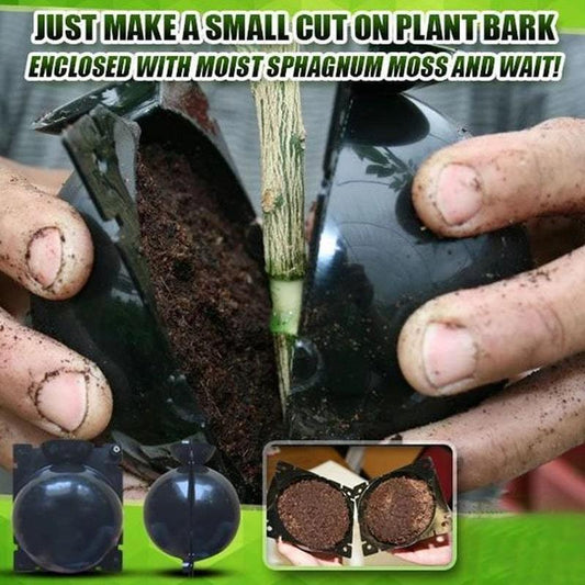 Plant Root Growing Ball (5pcs)