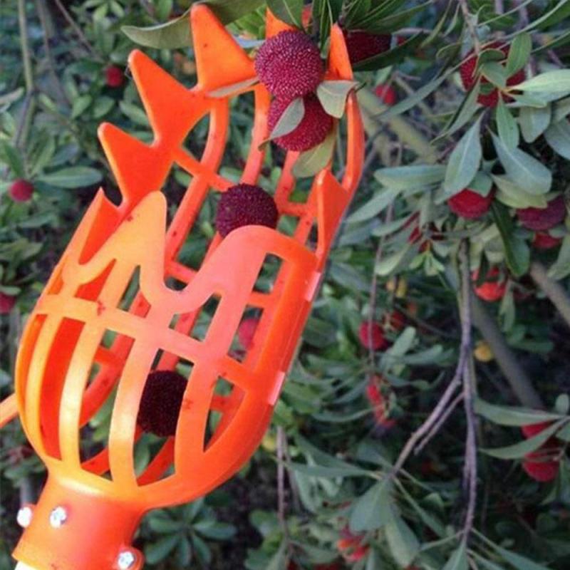 Fruit Picker Tool