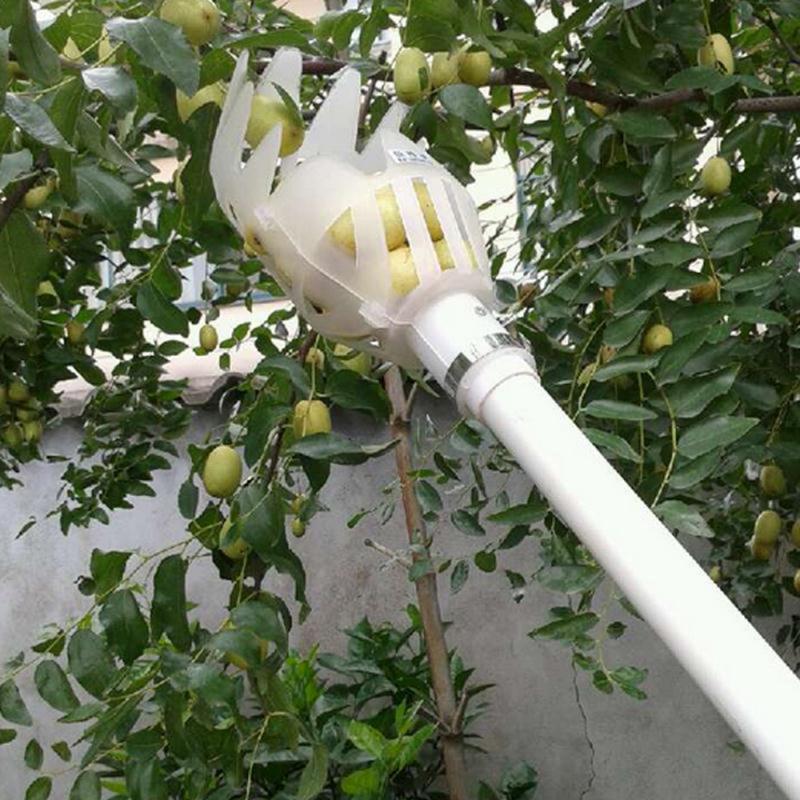 Fruit Picker Tool