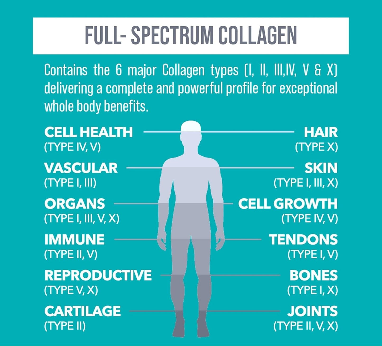 Marine-Based Collagen Gummies- Supports Joint Health & Mobility Boosts Muscle & Heart Health