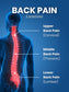 Ergonomic Multi-Scenario Memory Foam  Lumbar Support Cushion