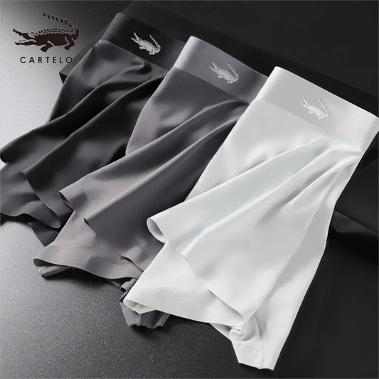 Pure Cotton Graphene-infused Antibacterial Men Boxer Shorts (3pcs)