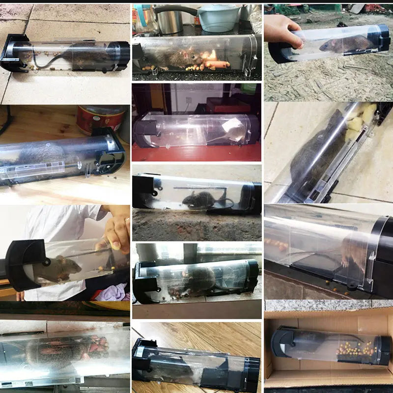 SafeRelease Self-Locking Humane Mouse Trap – Clear Reusable Design