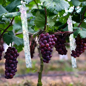 Double-Sided Bird Repellent Reflective Scare Tape