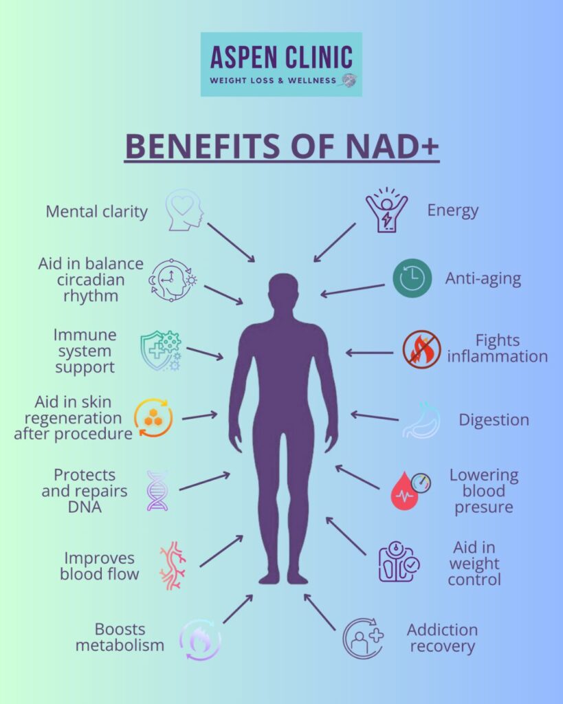 NAD+ Vital Restore – Repair Cells, Daily Energy Boost , Focus & Anti-Aging Support