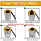 CleanCatch No-Touch Humane Flip Lid + Ramp Bucket Mouse Trap