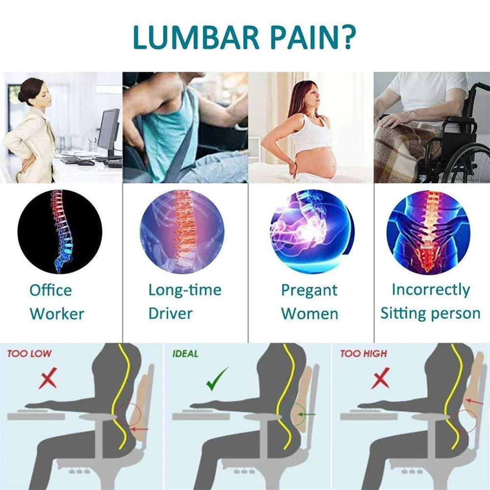 Memory Foam Lumbar Support Car Seat / Chair Pain Relief Cushion