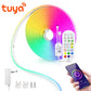 Wi-Fi Control Smart Led RGB Neon Waterproof Strips