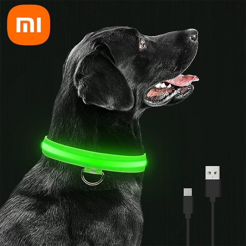 LED Glowing Rechargeable Waterproof Dog Safety Collar