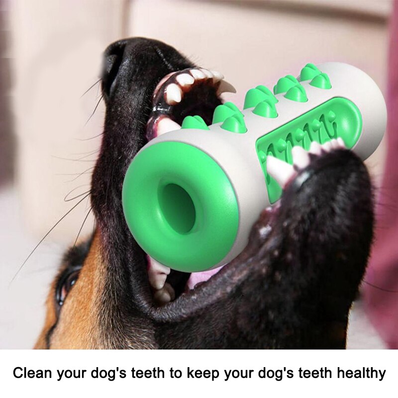 DentaPlay™ Smart & Interactive Dental Care Toy for Dogs