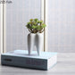 Tooth Vase Succulent Ceramic Pot