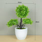 Japanese Blooming Bonsai Tree Decoration (artificial)