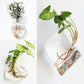Wall Hanging Aquarium Pot Decoration