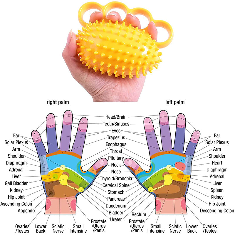 Rehabilitation Hand Grip Training Ball For The Elderly