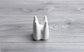 Tooth Vase Succulent Ceramic Pot