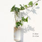Wall Hanging Aquarium Pot Decoration
