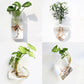Wall Hanging Aquarium Pot Decoration