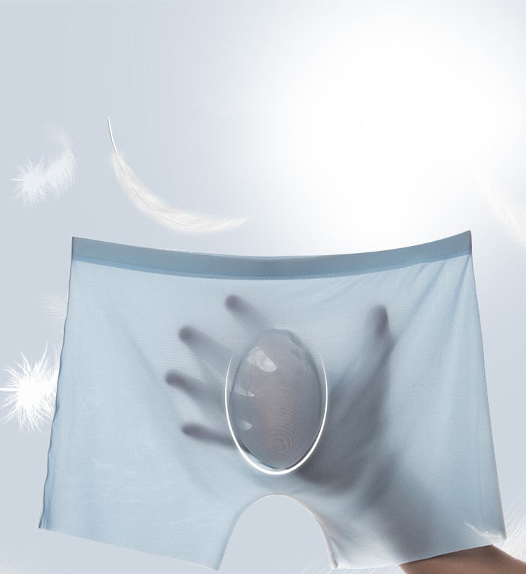 Men's Ice Silk Ultra-thin Breathable Boxers (2 Pcs)