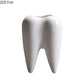 Tooth Vase Succulent Ceramic Pot
