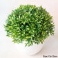 Japanese Blooming Bonsai Tree Decoration (artificial)