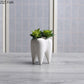 Tooth Vase Succulent Ceramic Pot