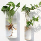Wall Hanging Aquarium Pot Decoration