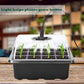 Seed Starter Trays with LED Grow Light (5pcs set)