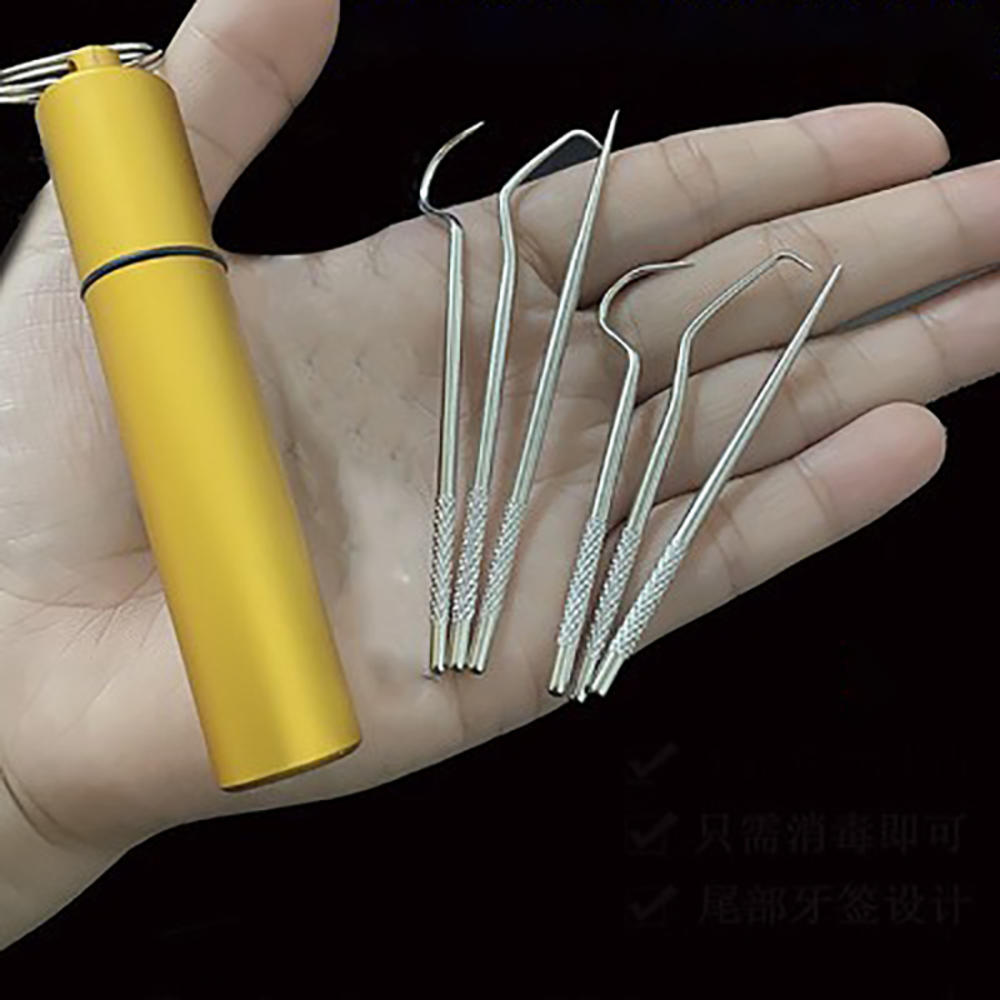 Stainless Steel Oral Cleaning Set