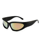 Large Frame Mirror Unisex Designer Sunglasses