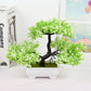 Japanese Blooming Bonsai Tree Decoration (artificial)