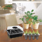 Seed Starter Trays with LED Grow Light (5pcs set)