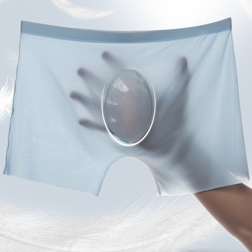 Men's Ice Silk Ultra-thin Breathable Boxers (2 Pcs)